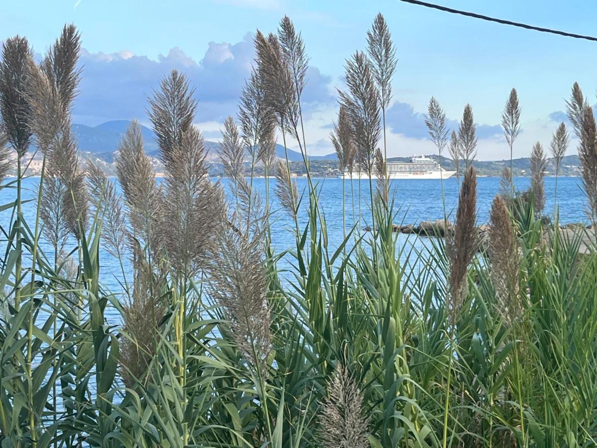 Apollonides Seafront Villa1 Aoede Lixouri Exteriör bild