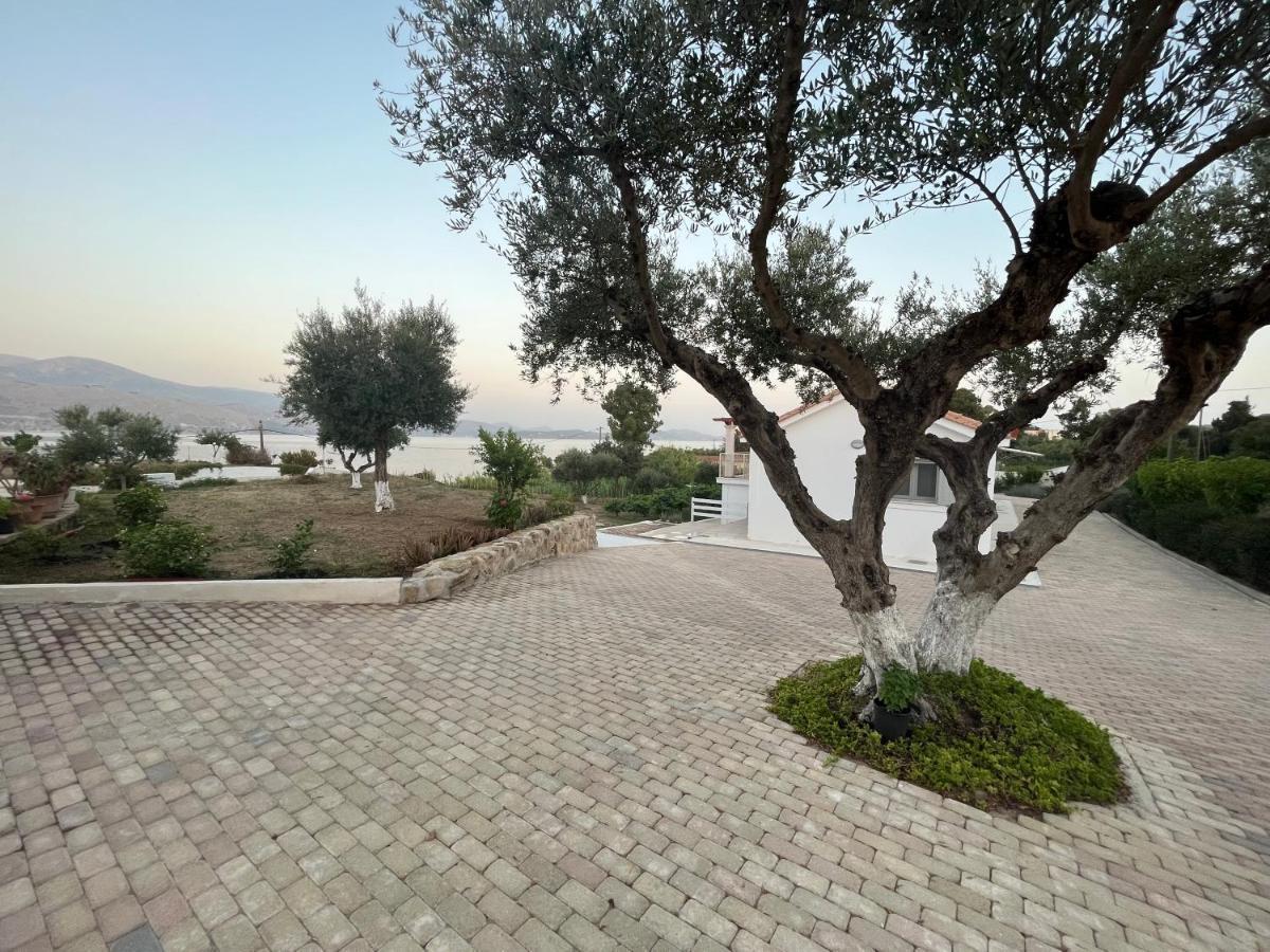 Apollonides Seafront Villa1 Aoede Lixouri Exteriör bild